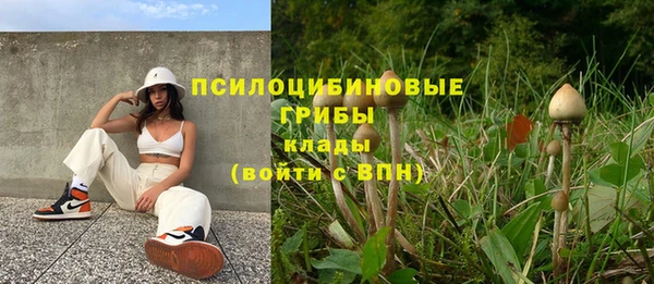 кокаин колумбия Алзамай