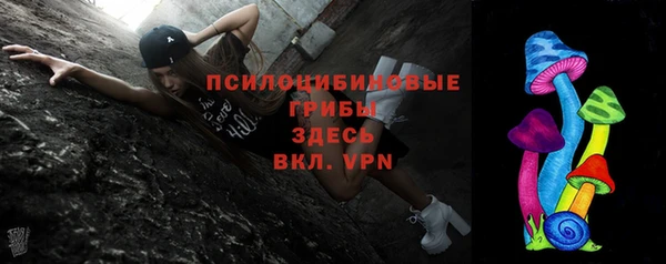 хмурый Алексин