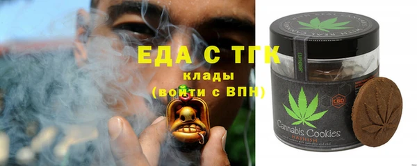 хмурый Алексин