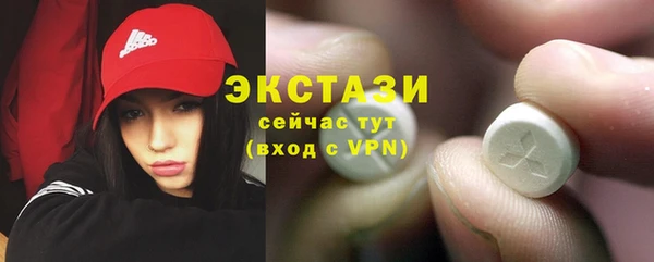 хмурый Алексин