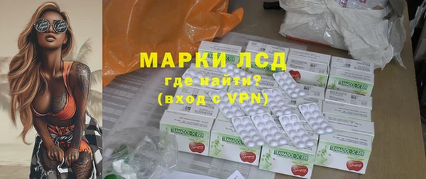 хмурый Алексин