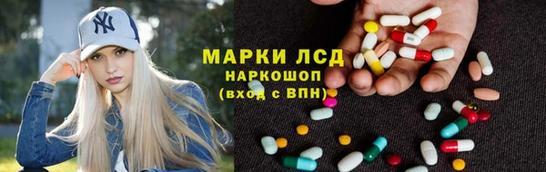 хмурый Алексин